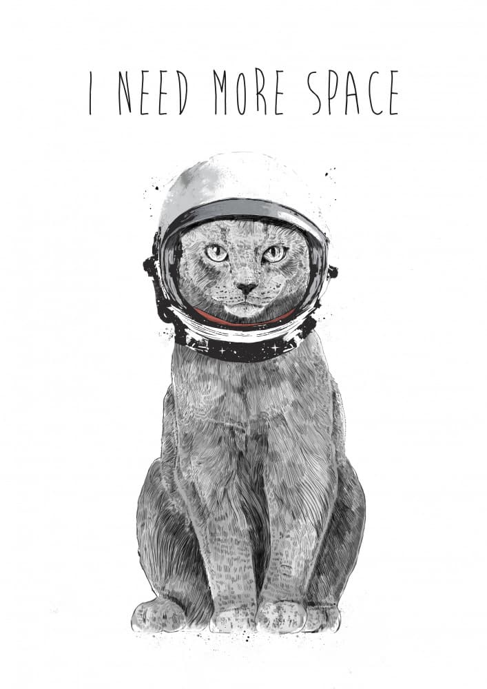 Astronaut Cat Needs Space by Balazs Solti — canvas wall art