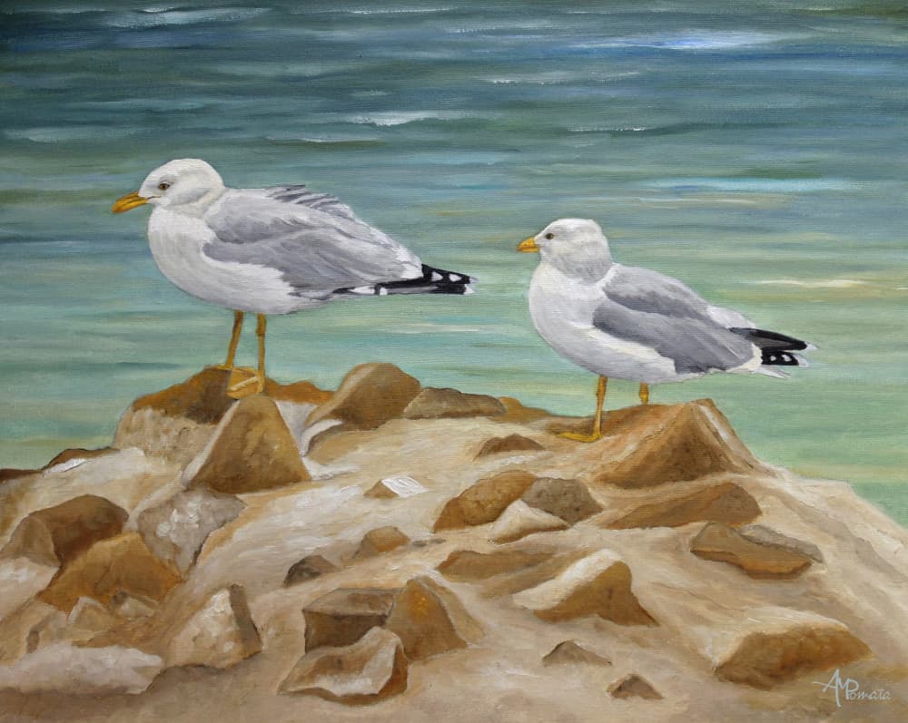 Two Coastal Seagulls by Angeles M. Pomata — canvas wall art