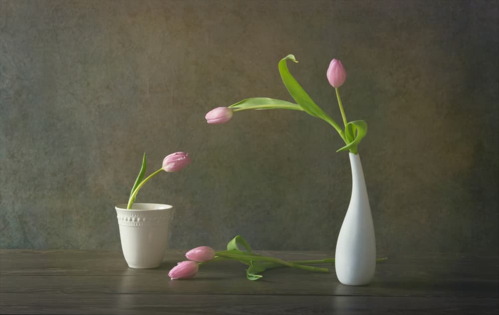 Elegant Pink Tulips Still Life by Rong Wei — canvas wall art