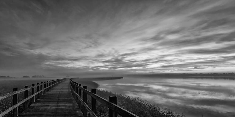 Misty Morning Boardwalk by Leif Løndal — canvas wall art