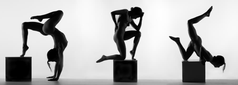 Strength in Silhouette by Joan Gil Raga — canvas wall art