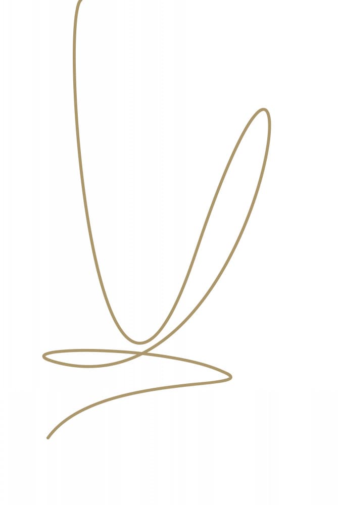 Fluid Golden Line by Oju Design — canvas wall art