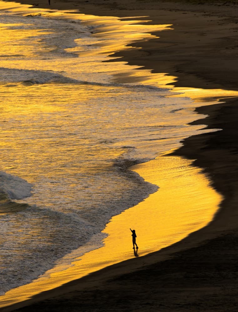 Golden Shore Silhouette by Tsutomu Sakamoto — canvas wall art