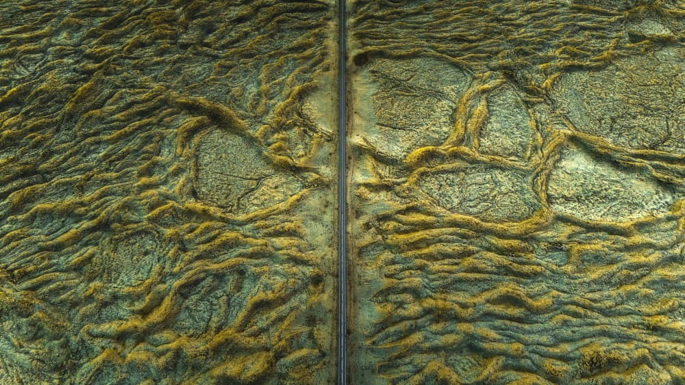 Textured Green Landscape by Carlos Gonzalez — canvas wall art