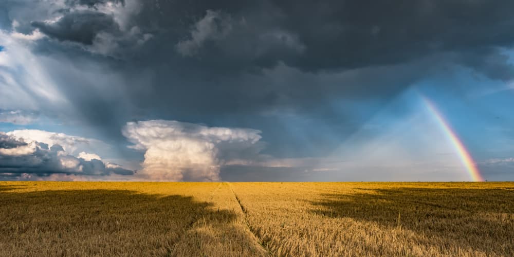 Gold and Thunder by Stefan Hefele — canvas wall art