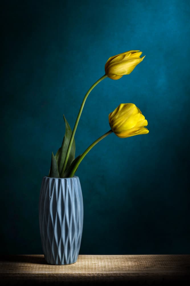 Elegant Yellow Tulips by Adriana Vitale — canvas wall art