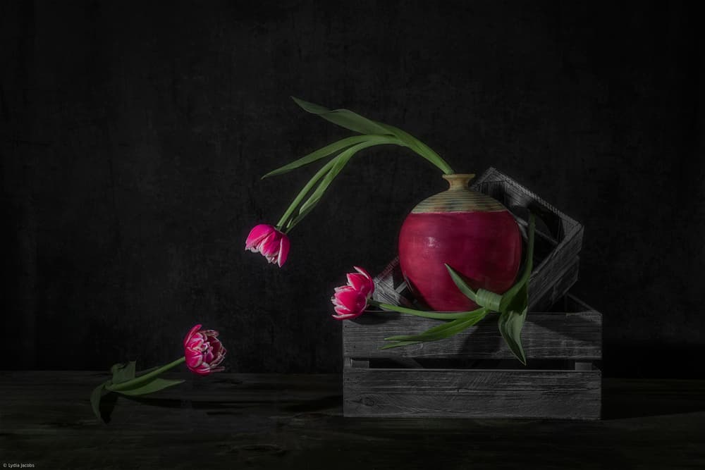 Dark Tulips and Radish by Lydia Jacobs — canvas wall art