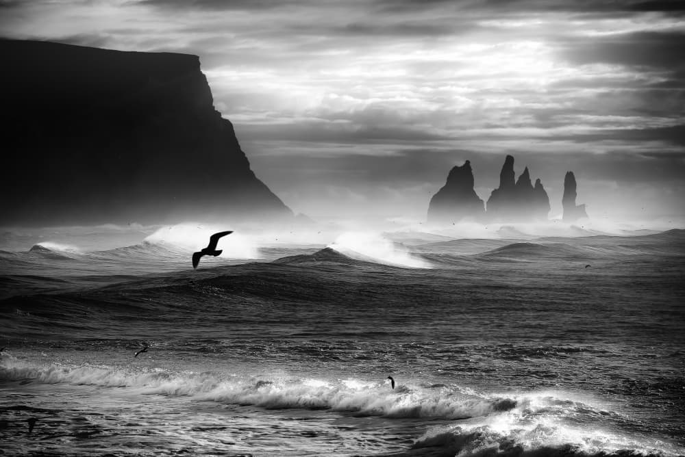 Wild Icelandic Coast by Lior Yaakobi — canvas wall art