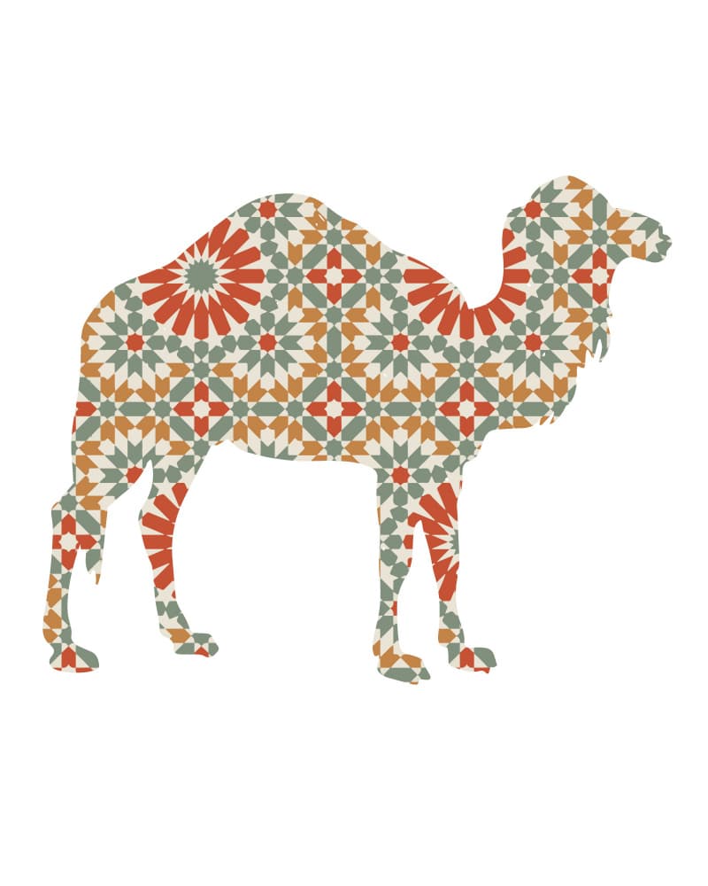 Moroccan Pattern Camel by Emiliano Deificus — canvas wall art