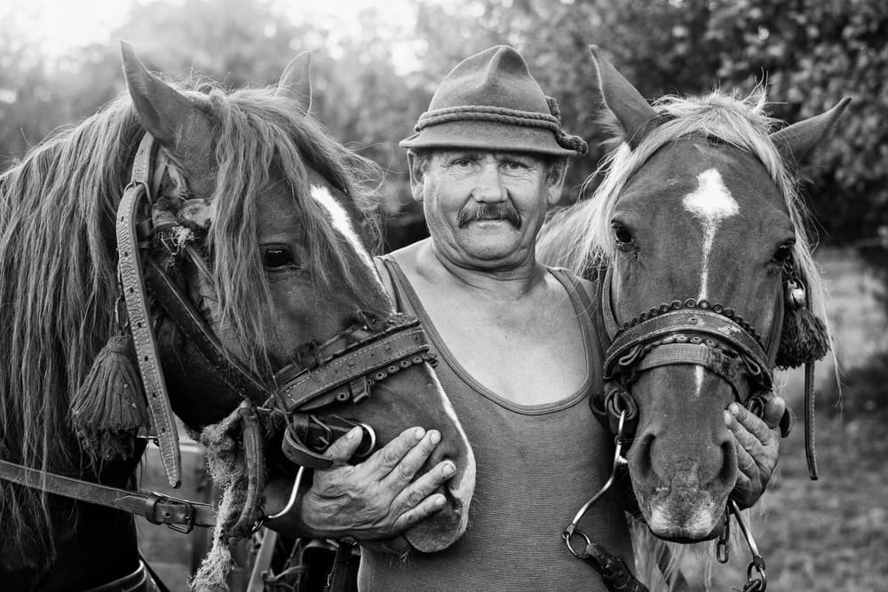 Rural Man and Horses by Zoran Toldi (EFIAP AZSF) — canvas wall art