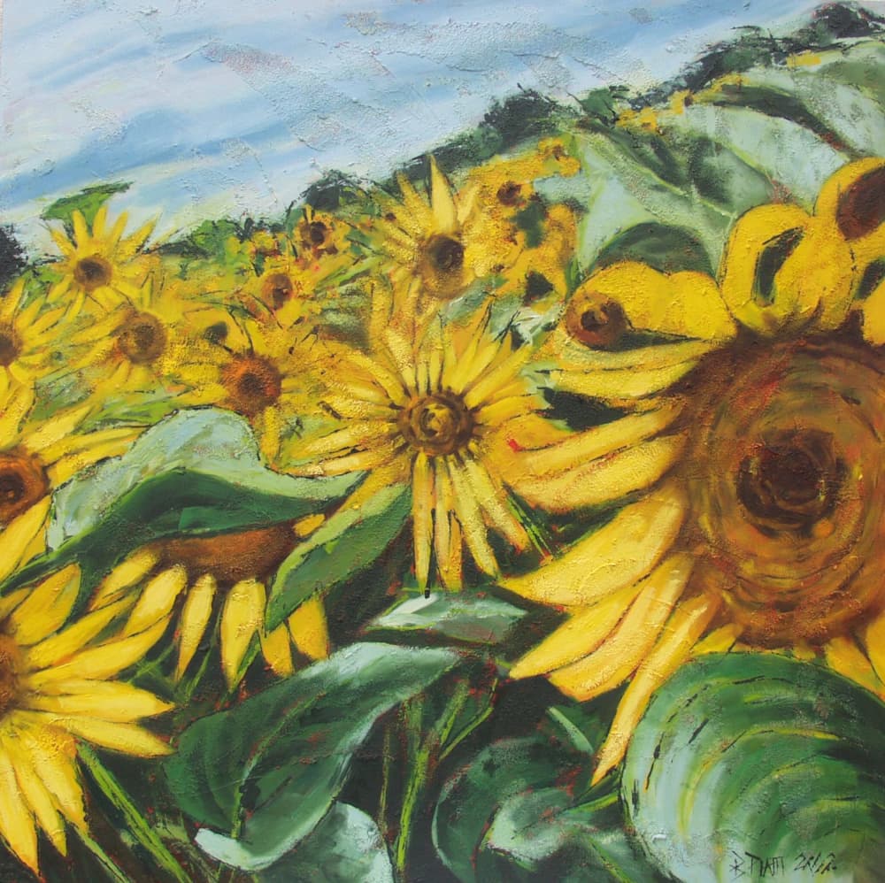 Golden Sunflower Field by Barbara Piatti — canvas wall art