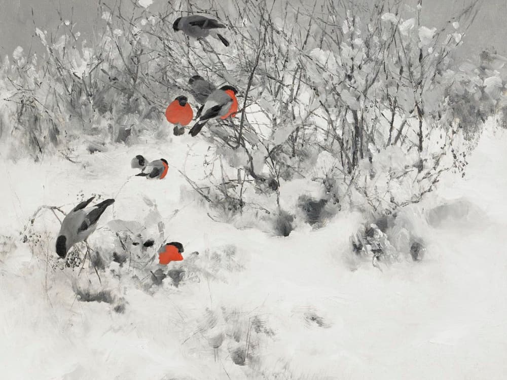 Red Bullfinches In Snow by Jolly and Dash — canvas wall art
