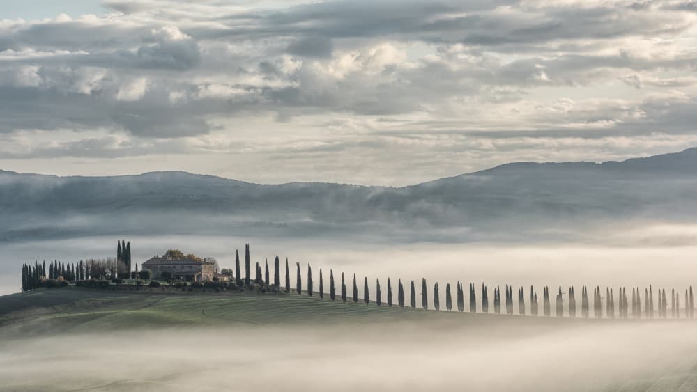 Tuscan Morning Mist by Luca Domenichi — canvas wall art