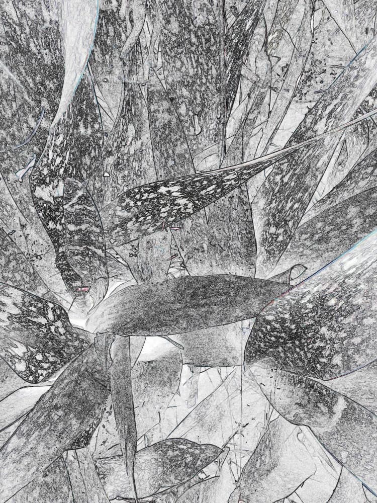 Textured Botanical Leaves by Santhosh ch — canvas wall art