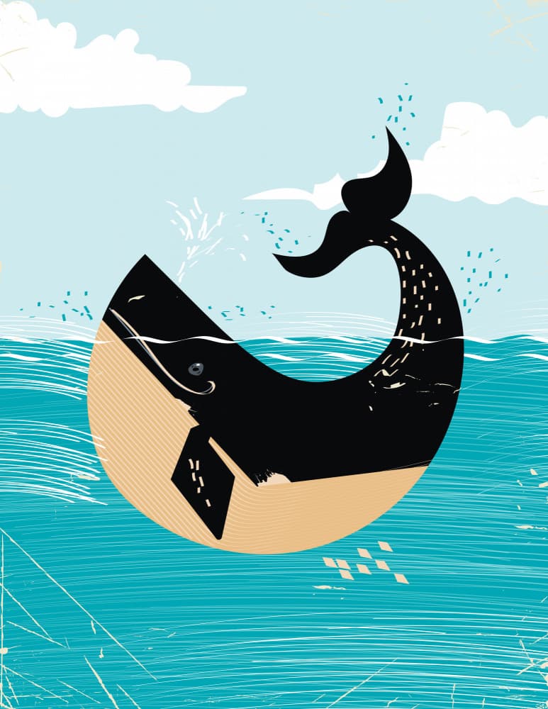 Breaching Ocean Whale