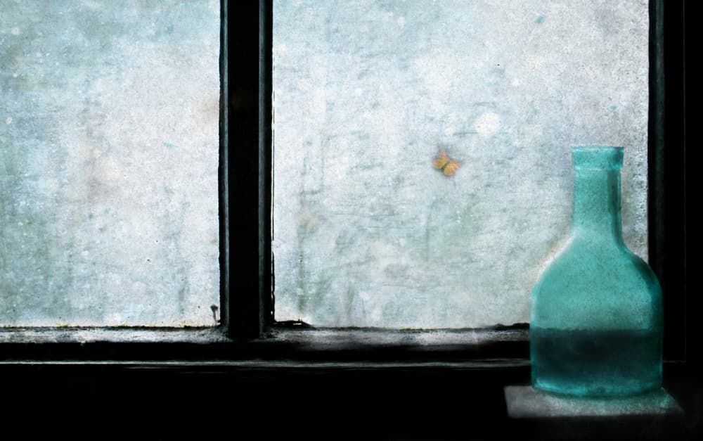 Quiet Window Butterfly Bottle by Delphine Devos — canvas wall art