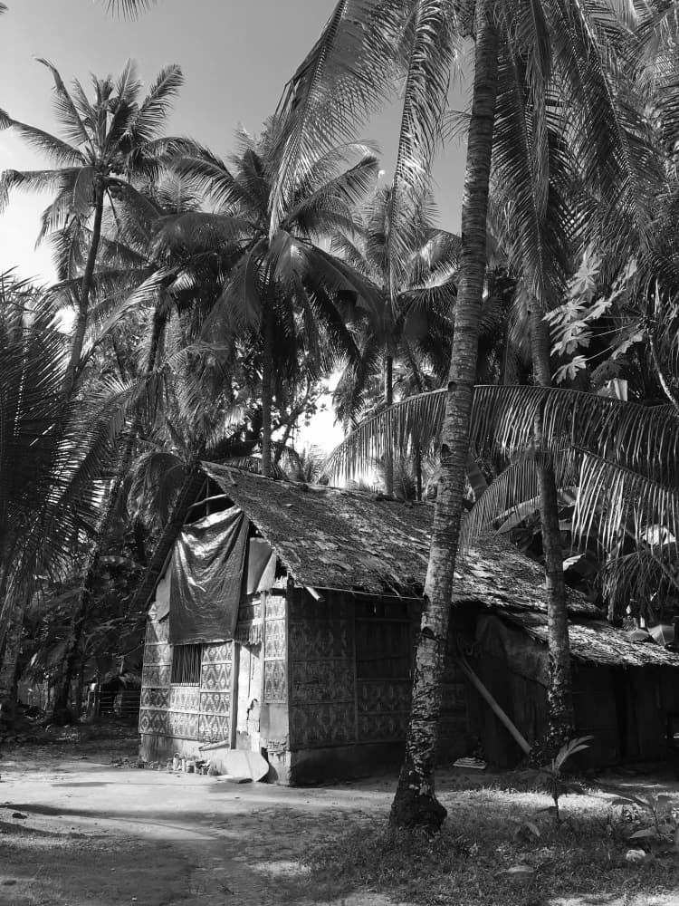 Tropical Hut Under Palms by Irene Chua — canvas wall art