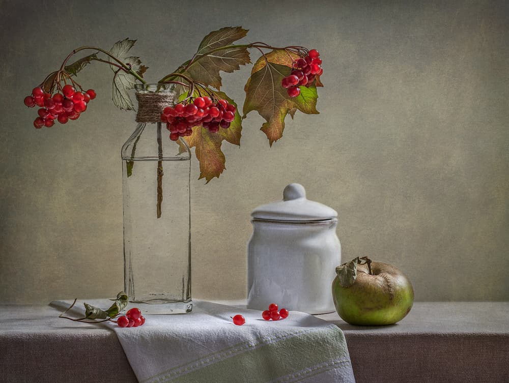 Autumn Berries And Apple by Inna Karpova — canvas wall art