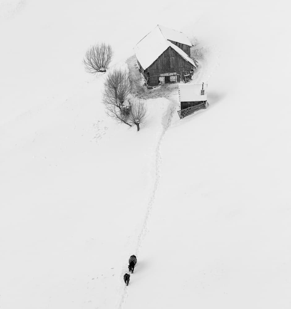 Winter Farm Path by Lazar Ioan Ovidiu — canvas wall art