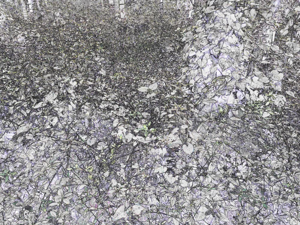 Monochrome Forest Foliage by Santhosh ch — canvas wall art