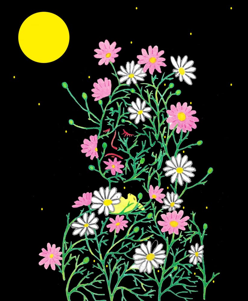Floral Night Dream by Zhigang Zhang — canvas wall art