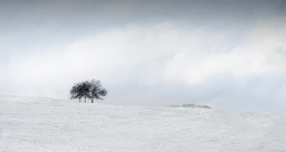 Serene Winter Landscape by Maurits De Groen — canvas wall art