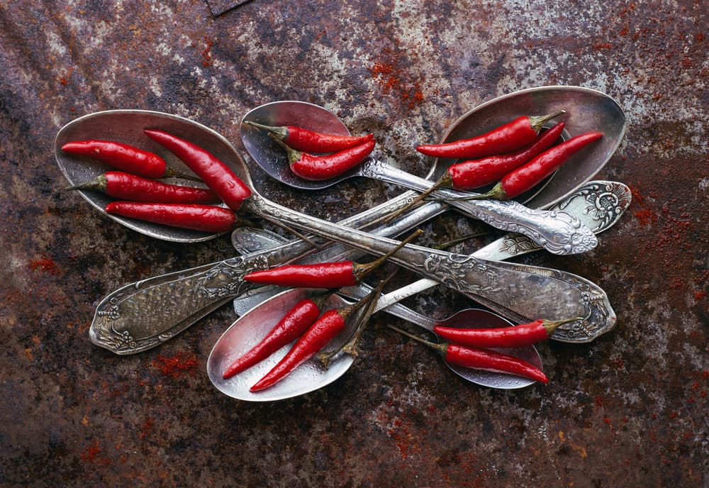 Spicy Silver Spoons by Karina Aleksandrova — canvas wall art