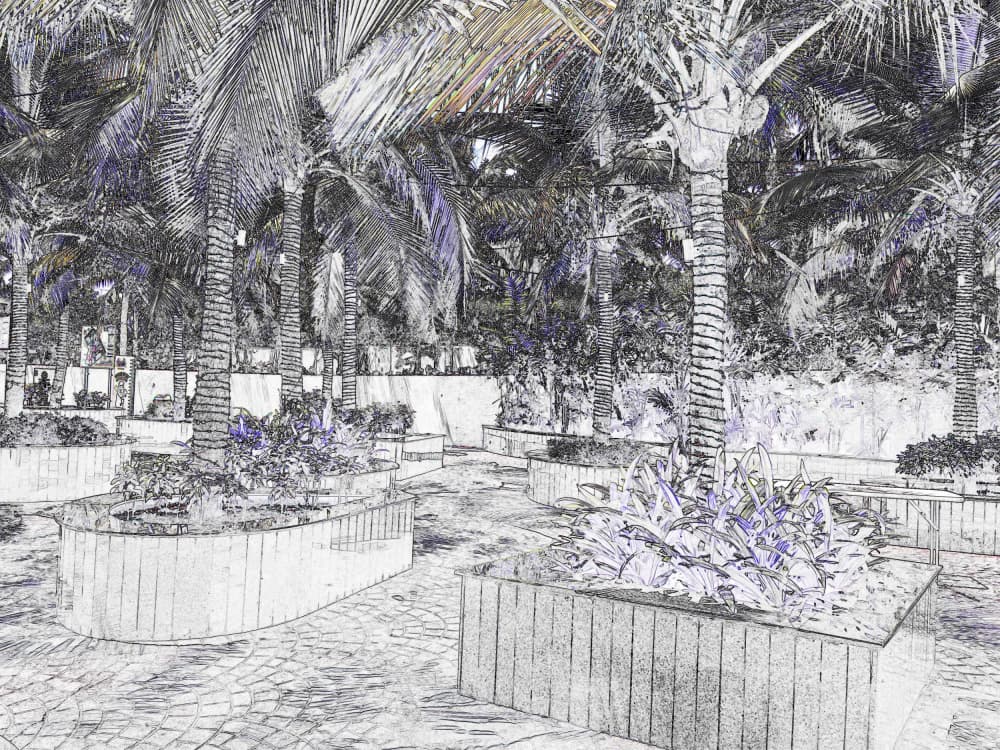 Artistic Palm Garden by Santhosh ch — canvas wall art
