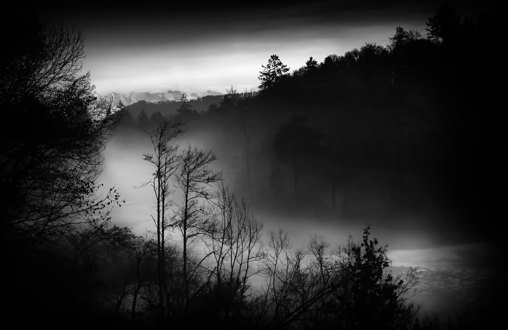Misty Forest Dawn by Nic Keller — canvas wall art
