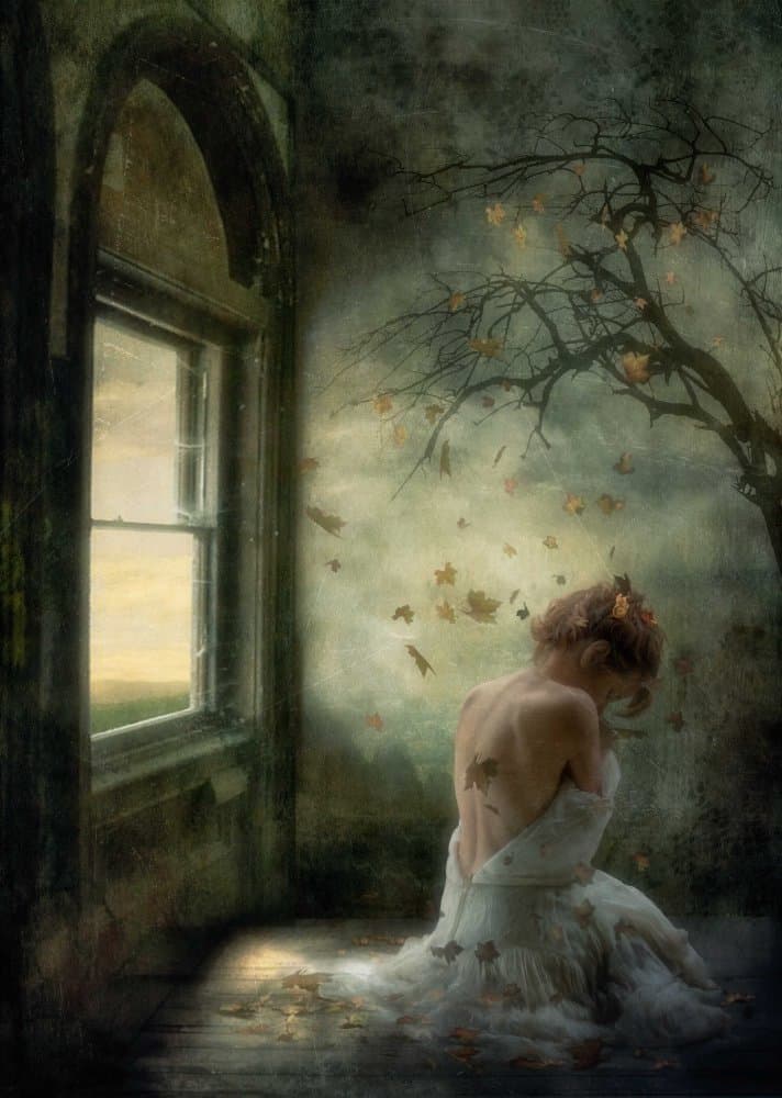 Pensive Autumn Window by Charlaine Gerber — canvas wall art