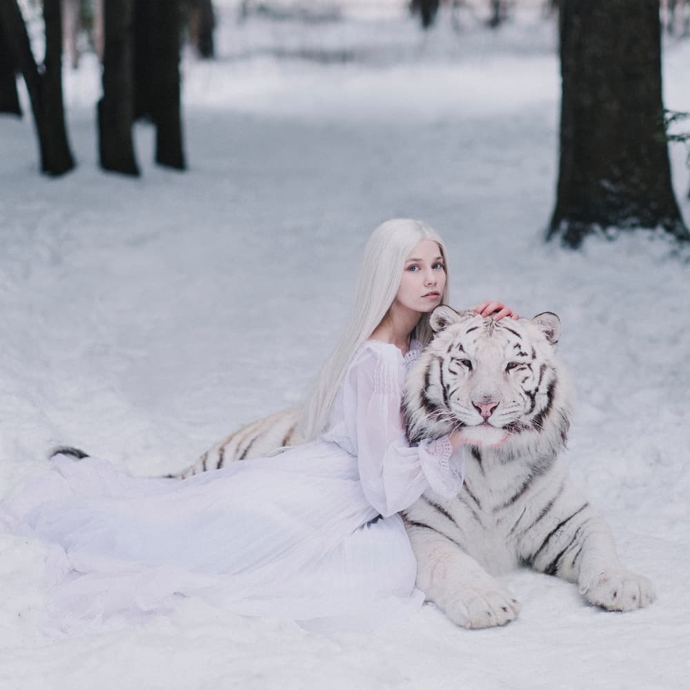 Snow Queen White Tiger by Olga Barantseva — canvas wall art