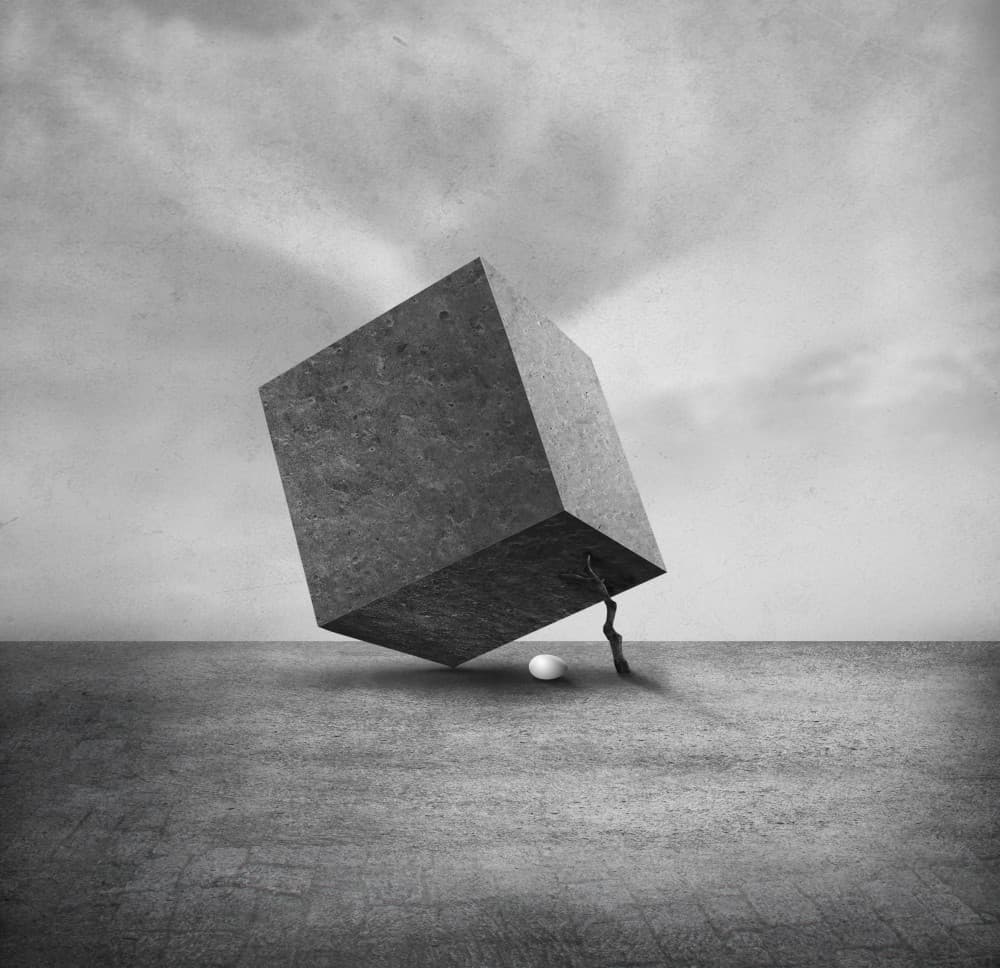 Ndog by Hari Sulistiawan — canvas wall art