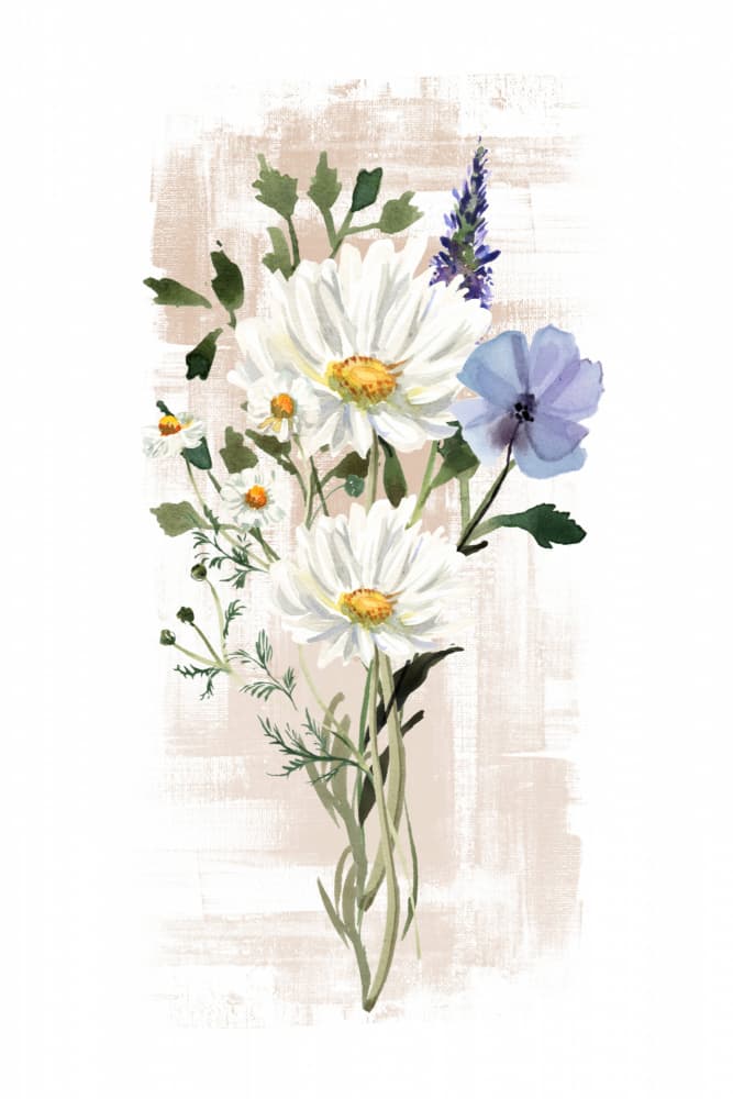 White Daisy Bouquet by Sally Ann Moss — canvas wall art