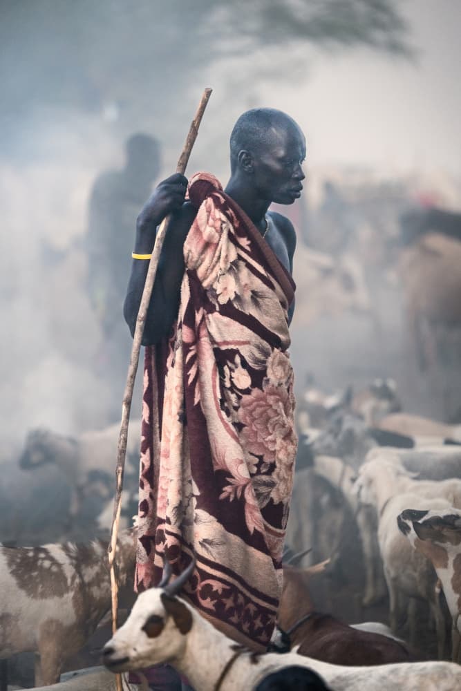 Dinka Shepherd with Goats by Trevor Cole — canvas wall art