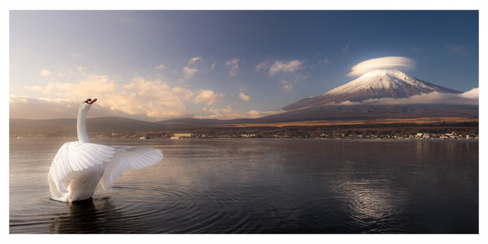 Mount Fuji Swan Lake by Haruma Okubo — canvas wall art