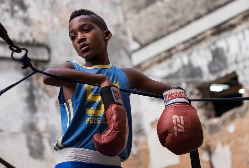 Young Boxer in Ring by ihyabozkurt — canvas wall art