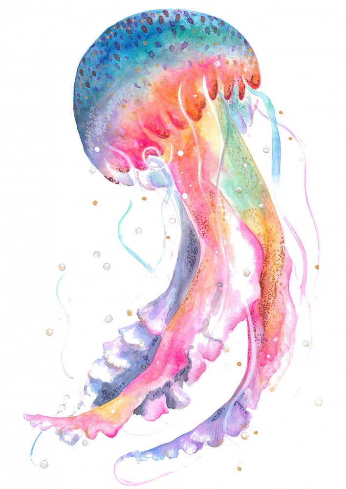 Jellyfish With Rainbow Hues by Isabelle Brent — canvas wall art