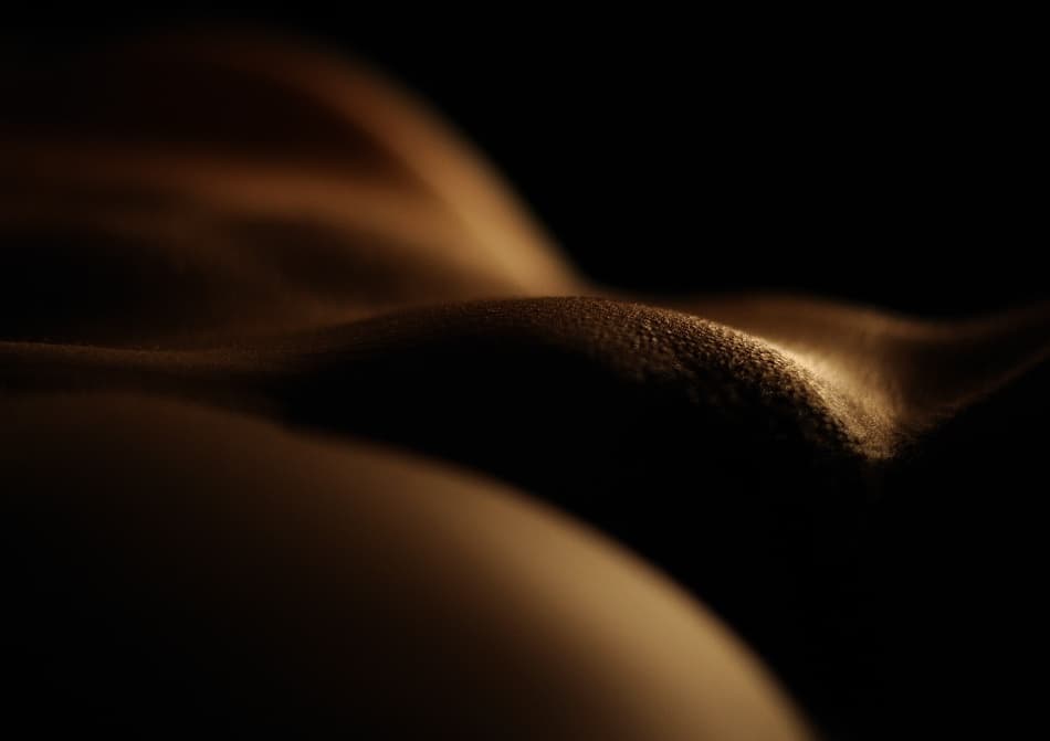 Sensual Body Curves by Fulvio Pellegrini — canvas wall art