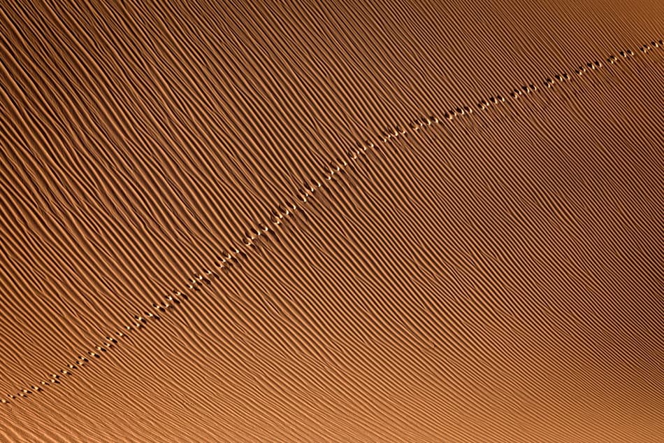 Golden Sand Footprints by Mohammadreza Momeni — canvas wall art