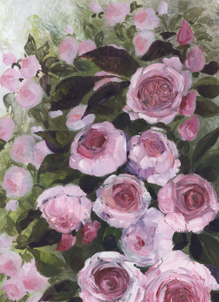 Pink Garden Roses by Rosana Laiz Blursbyai — canvas wall art