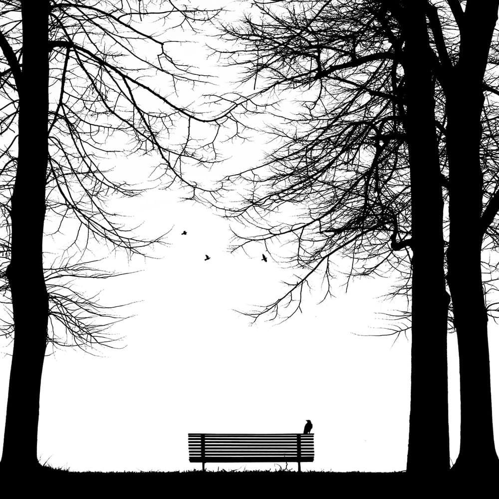 Solitary Bench Winter Silhouette by Massimo Della Latta — canvas wall art