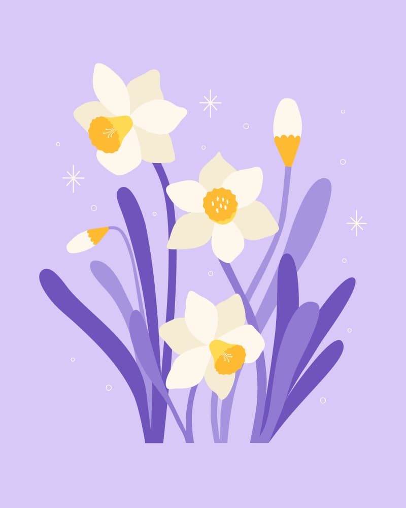 Narcissus Stars - Daffodil Light by Artprink — canvas wall art