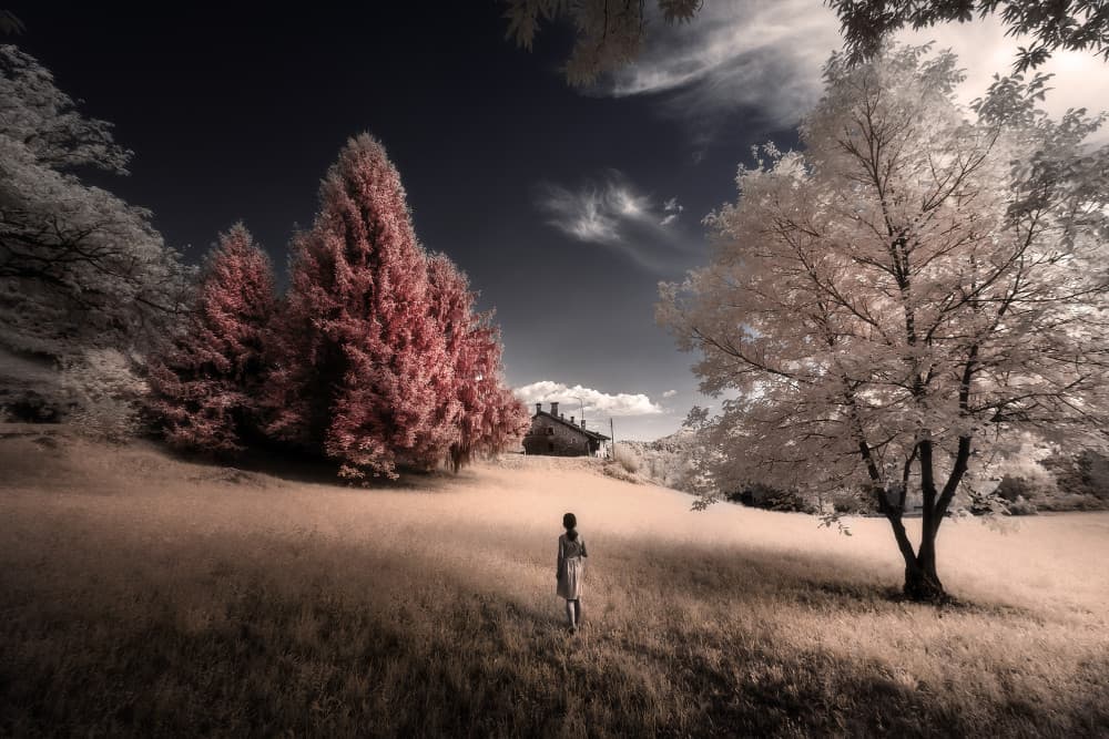 Ethereal Landscape Journey by Filippo Manini — canvas wall art