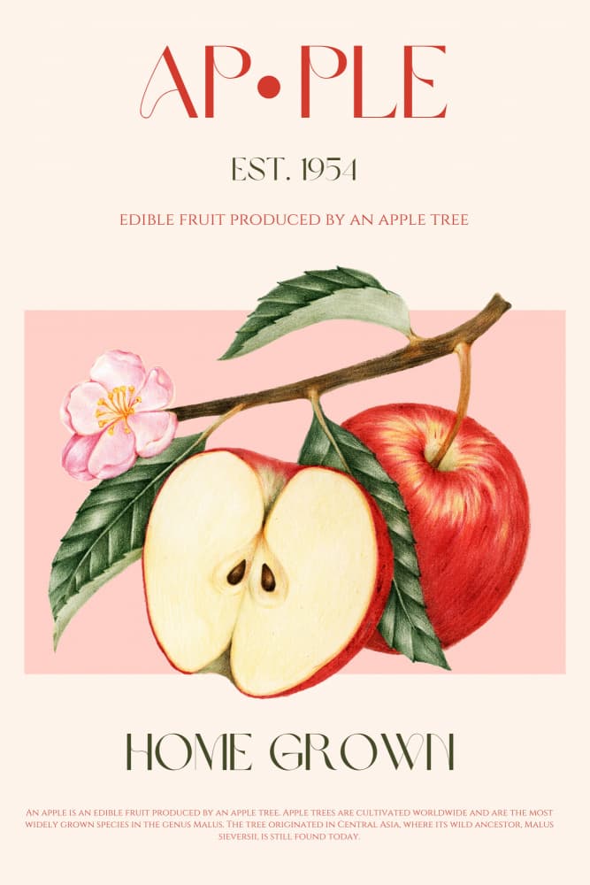 Botanical Apple Study by Nazma Khokhar — canvas wall art