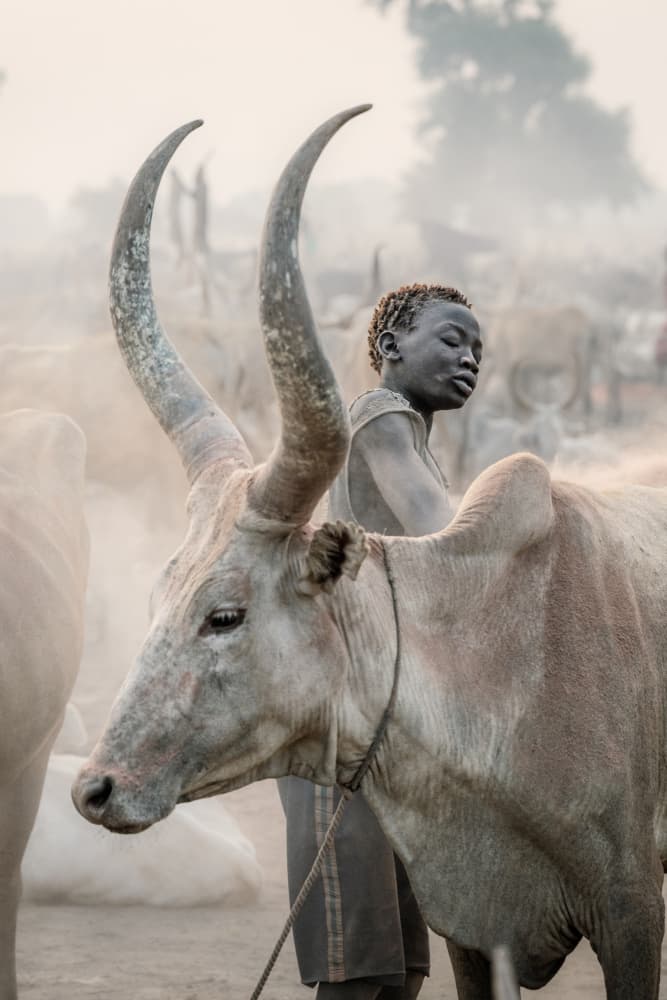 Child With Magnificent Horns by Trevor Cole — canvas wall art