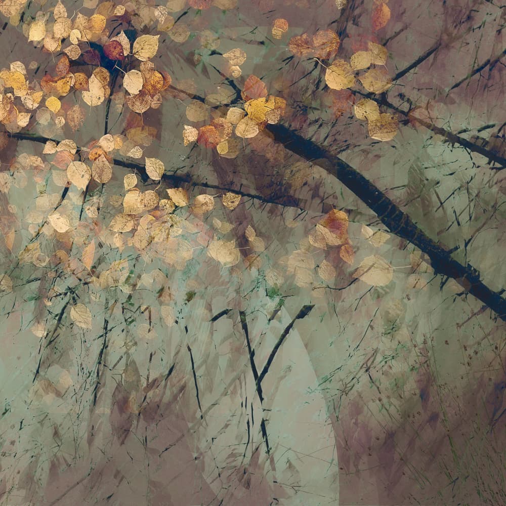 Tomorrow by Nel Talen — canvas wall art