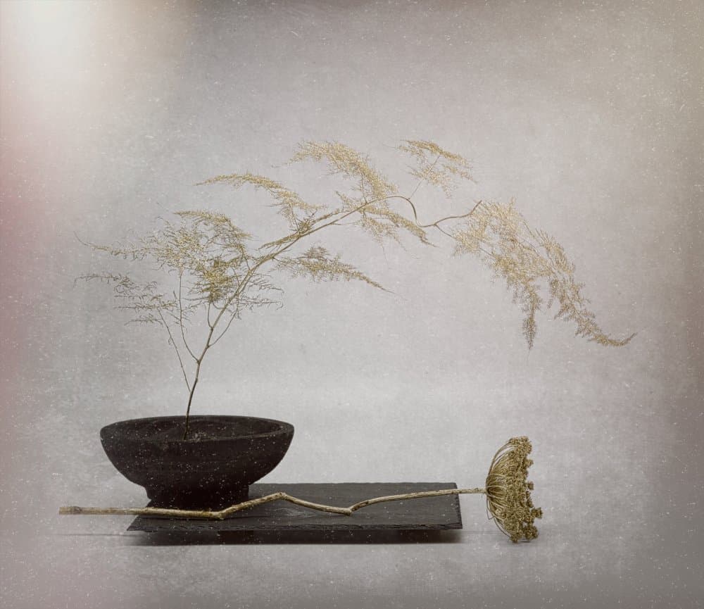 Serene Dried Botanical by Saskia Dingemans — canvas wall art