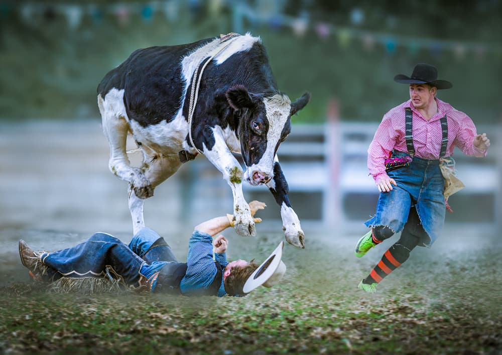 Cowboy Rodeo Mayhem by Frank Ma — canvas wall art