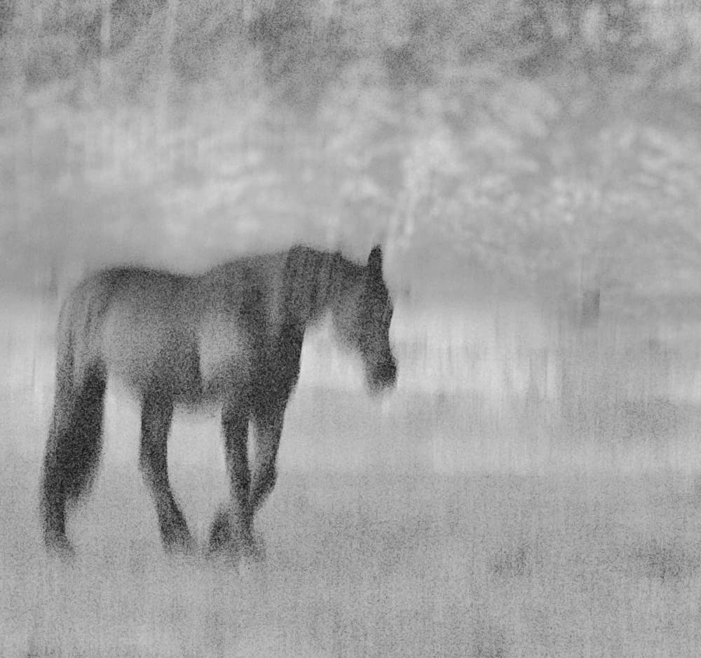 Dreamy Walking Horse by Hui — canvas wall art