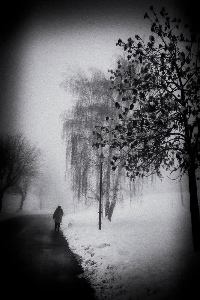 Solitary Winter Walk by Claudio Moretti — canvas wall art